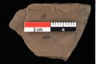 Foto (Detailansicht) von Glyptostrobus europaeus Brongniart (NHMW-GEO-2024-0188-0156)